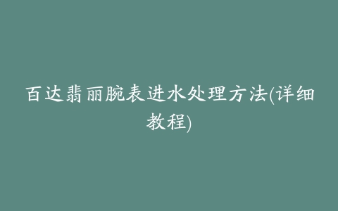 百达翡丽腕表进水处理方法(详细教程)