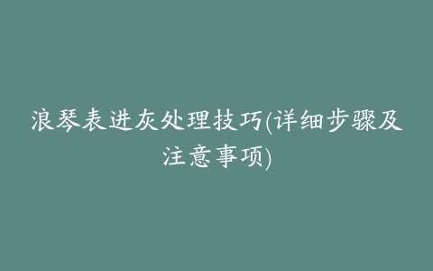 浪琴表进灰处理技巧(详细步骤及注意事项)