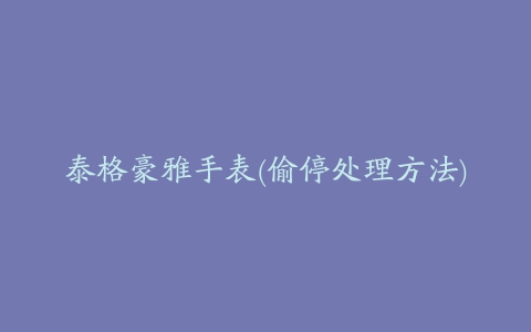 泰格豪雅手表(偷停处理方法)