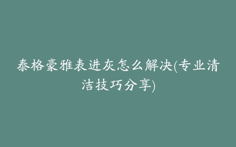 泰格豪雅表进灰怎么解决(专业清洁技巧分享)