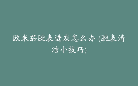 欧米茄腕表进灰怎么办 (腕表清洁小技巧)