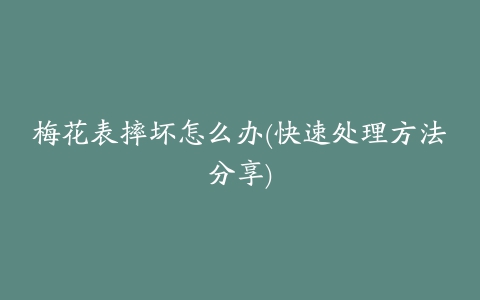 梅花表摔坏怎么办(快速处理方法分享)