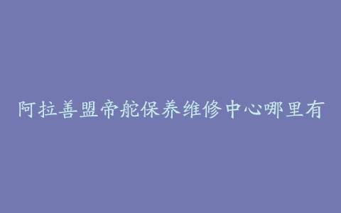 阿拉善盟帝舵保养维修中心哪里有