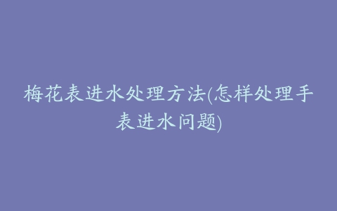 梅花表进水处理方法(怎样处理手表进水问题)