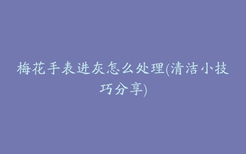 梅花手表进灰怎么处理(清洁小技巧分享)