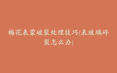 梅花表蒙破裂处理技巧(表玻璃碎裂怎么办)