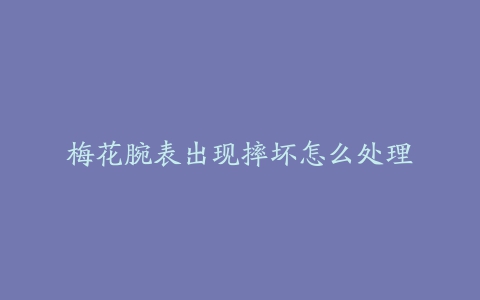 梅花腕表出现摔坏怎么处理