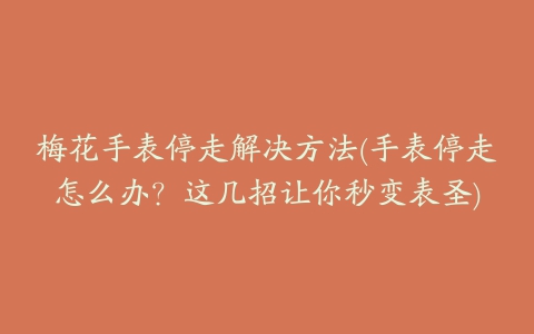 梅花手表停走解决方法(手表停走怎么办？这几招让你秒变表圣)