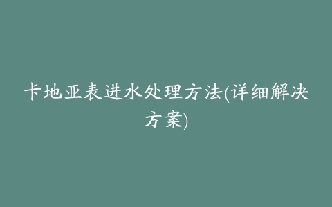 卡地亚表进水处理方法(详细解决方案)