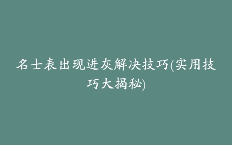 名士表出现进灰解决技巧(实用技巧大揭秘)