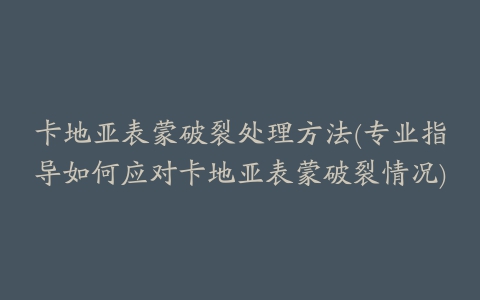 卡地亚表蒙破裂处理方法(专业指导如何应对卡地亚表蒙破裂情况)