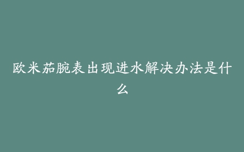 欧米茄腕表出现进水解决办法是什么