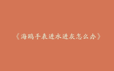 《海鸥手表进水进灰怎么办》