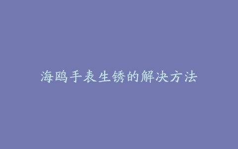 海鸥手表生锈的解决方法