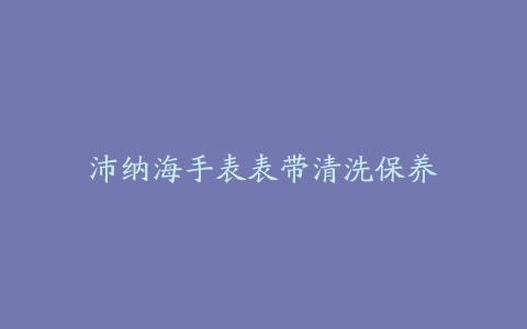 沛纳海手表表带清洗保养