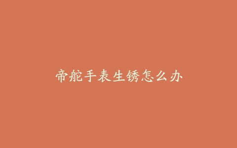 帝舵手表生锈怎么办