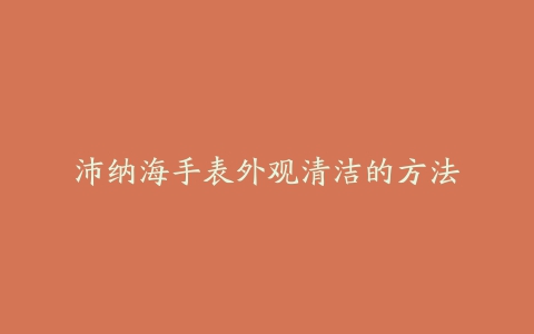 沛纳海手表外观清洁的方法