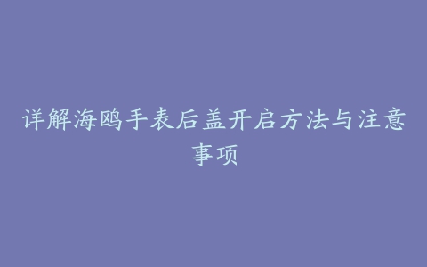 详解海鸥手表后盖开启方法与注意事项