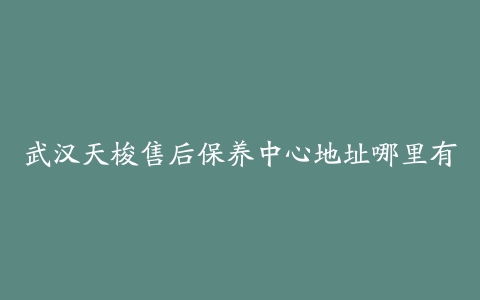 武汉天梭售后保养中心地址哪里有