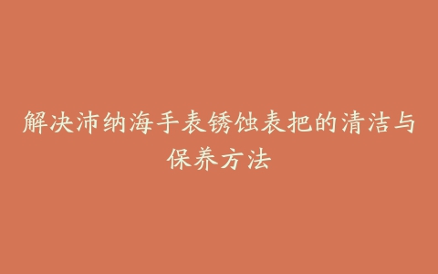 解决沛纳海手表锈蚀表把的清洁与保养方法