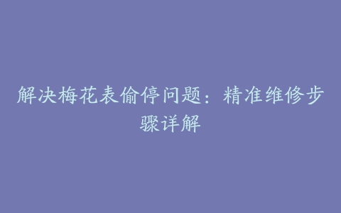 解决梅花表偷停问题：精准维修步骤详解