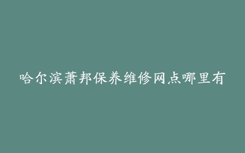 哈尔滨萧邦保养维修网点哪里有