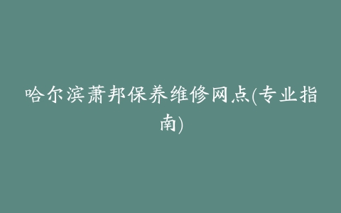 哈尔滨萧邦保养维修网点(专业指南)