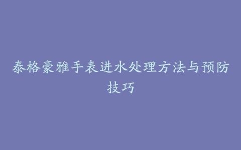 泰格豪雅手表进水处理方法与预防技巧