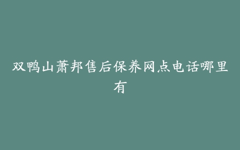 双鸭山萧邦售后保养网点电话哪里有