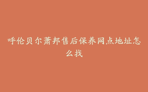 呼伦贝尔萧邦售后保养网点地址怎么找