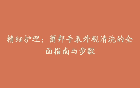 精细护理：萧邦手表外观清洗的全面指南与步骤